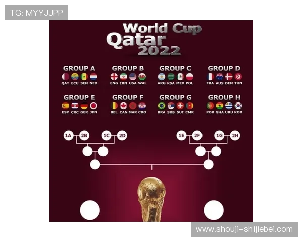 卡塔尔世界杯积分榜历史回顾，分析历届排名变化对当前的影响