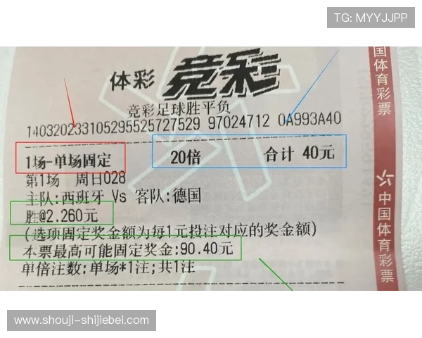 世界杯彩票官方平台推荐及安全购买指南保障您的资金安全与投注体验