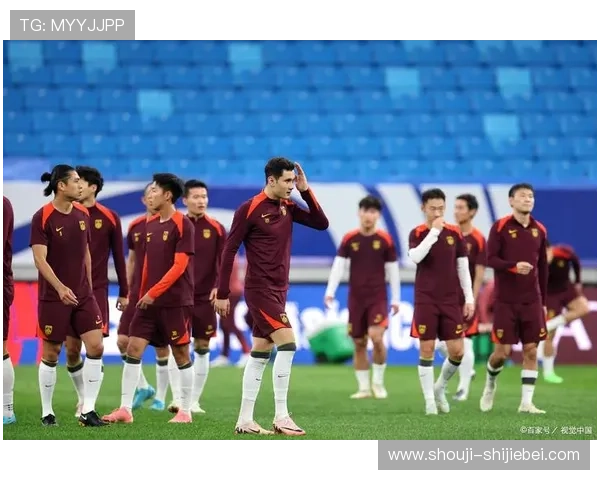 中国未能举办世界杯的背后原因，涉及足球水平、国际合作与国家战略的多重因素