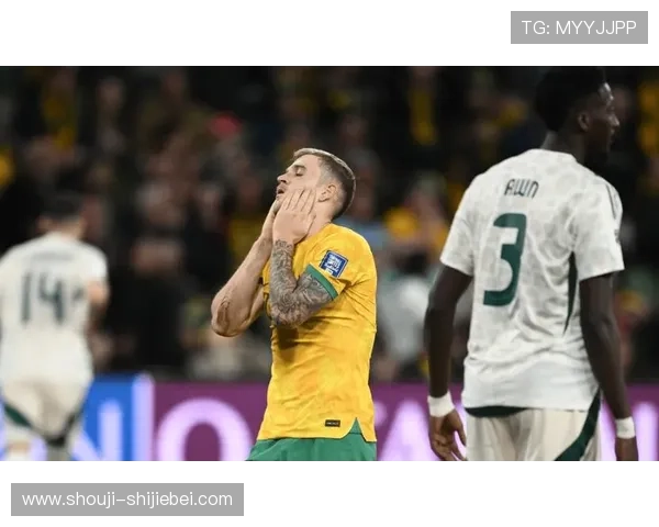 分析下一届世界杯预选赛的晋级形势，帮助球迷预测晋级概率和赛果