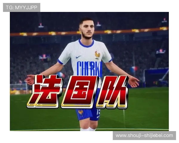 法国队在欧洲区世界杯预选赛中的积分榜位置与争夺晋级资格的策略