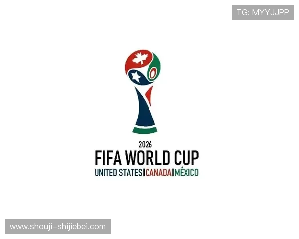 美加墨世界杯购票官网入口安全指南，保障您的个人信息与资金安全