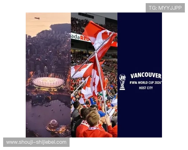 美加墨世界杯亚洲区比赛现场氛围与观众体验全景介绍