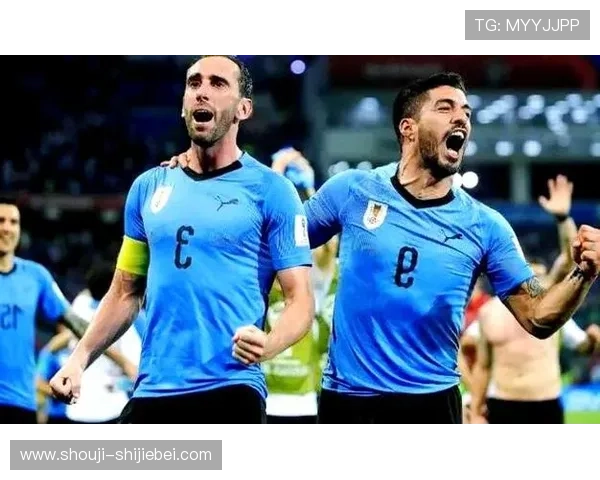 韩国队在世界杯对阵乌拉圭的比赛中表现亮点与关键战术解析