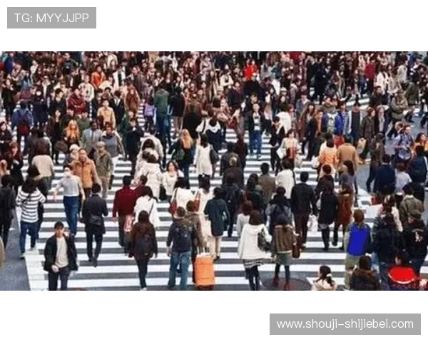 2026年世界杯中国转播权相关政策变化及对国内市场的影响分析