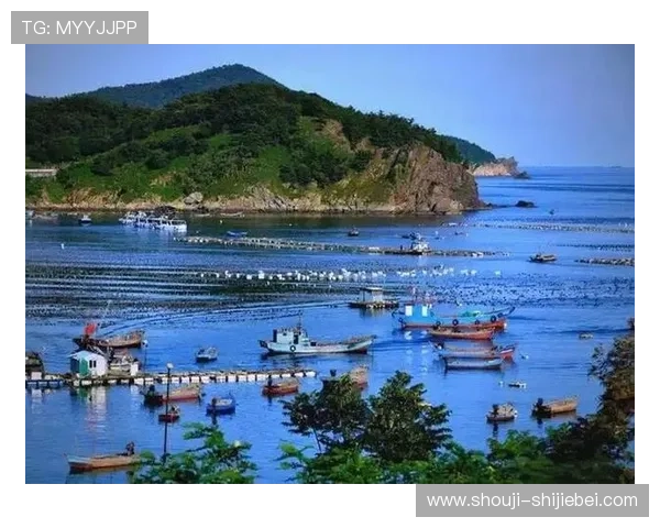 下载看球通体育直播软件,轻松实现足球比赛的实时观看和精彩回放,提升你的观赛乐趣 下载看球通体育直播软件,轻松实现足球比赛的实时观看和精彩回放,提升你的观赛乐趣